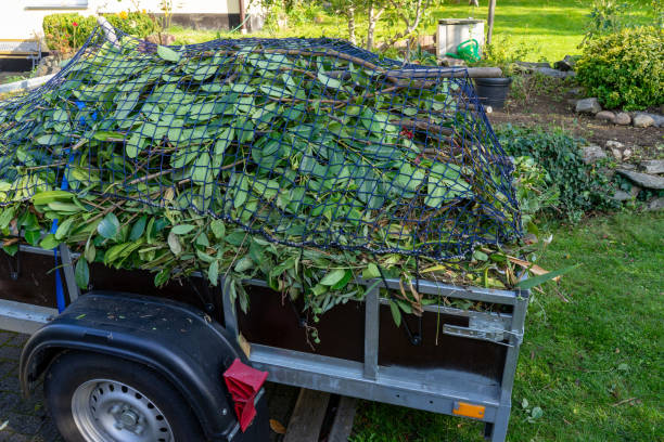 Best Yard Waste Removal  in Fairfax, IA